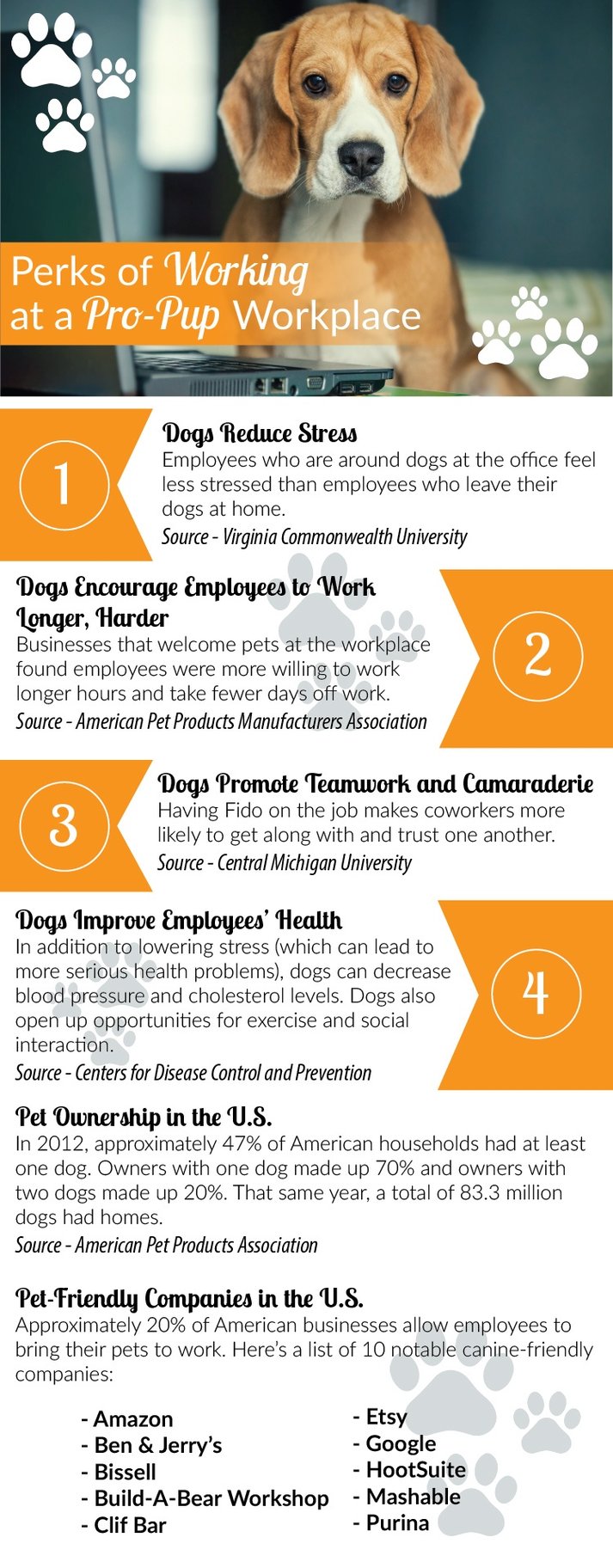 Perks Of Working At A DogFriendly Workplace [Infographic]